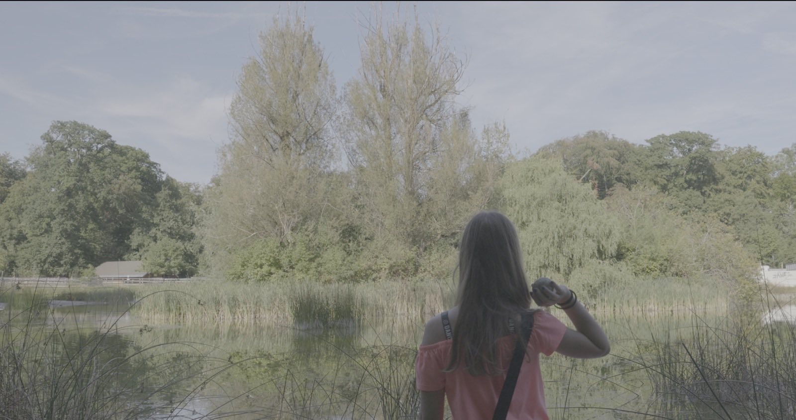 Le même plan rendu par CinePerfect — rendu : Log brut · Le lac · Panasonic V-Log